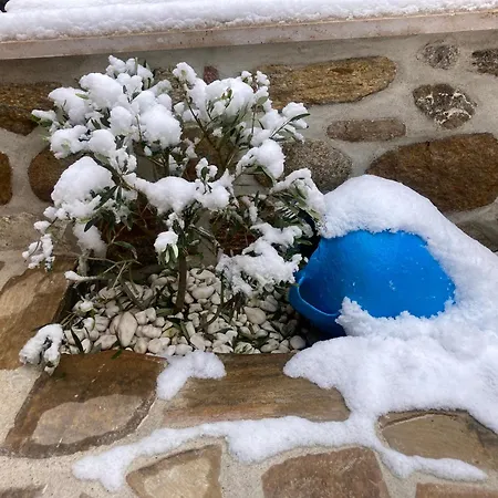 άρνη' κόρη του αιόλου 2 *